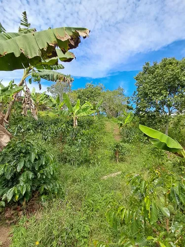 Finca En Restrepo Valle