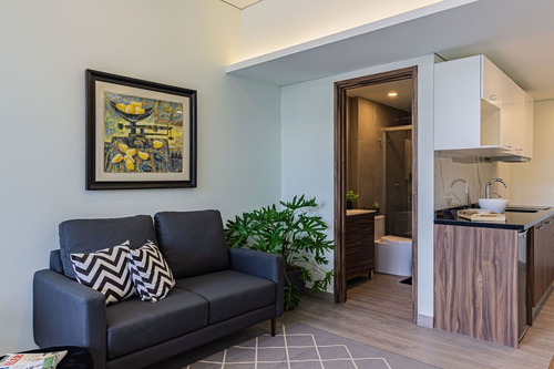 Exclusivo Desarrollo Residencial Tipo Loft, Colonia Guadalupe Inn