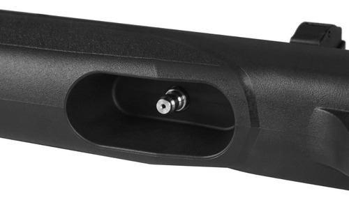 Carabinadepressão 5.5 Gamo Pcp +2un.chumbo +capa Acolchoada