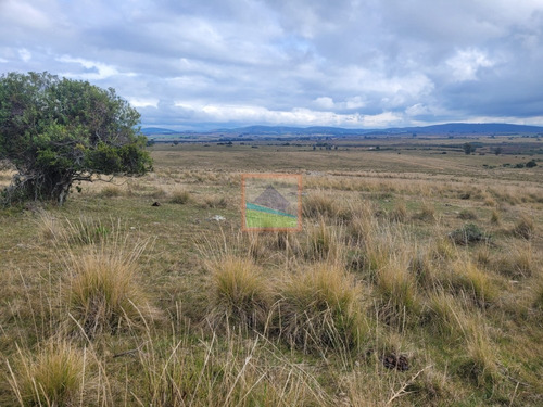 Imagen 10 de 30 de 79 Hás Campo Criador Y Serrano En Corte De La Leña