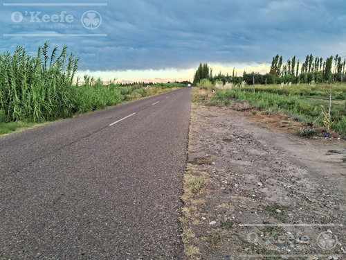Oportunidad Venta De 2 Fincas Aledañas En Cañada Seca , San Rafael , Mendoza. Frutihorticola, Forrajes, Turismo,