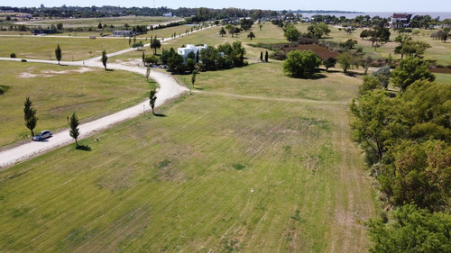 Imagen 2 de 4 de Terreno - Real De San Carlos