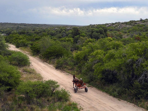 Imagen 20 de 25 de Excelente Campo Nativo De 103ha La Venta En Ojo De Agua!
