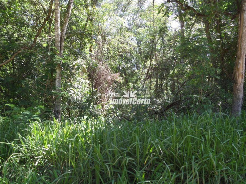 Imagem 13 de 14 de Chácara À Venda, 4000 M² Por R$ 75.000,00 - Rodeio Da Chapada - Balsa Nova/pr - Ch0011