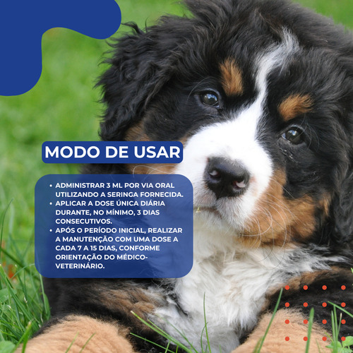 Kit 2 Promun Defense Boost Dog 3ml Suplemento Cães Vitaminas Organnact | Lojão Do Ferro