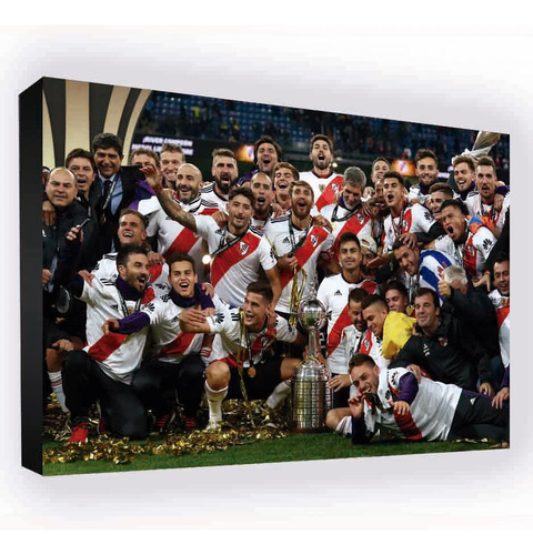 Cuadro De River Campeón De La Libertadores 2018