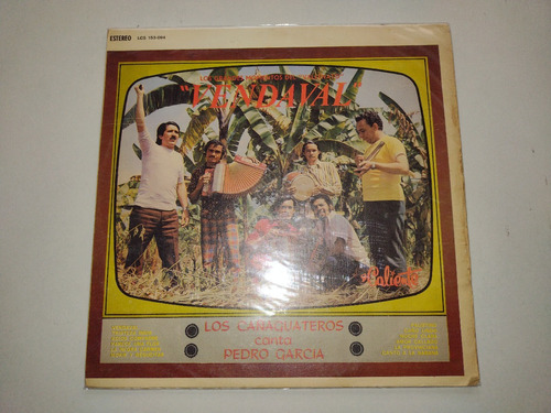 Lp Vinilo Disco Acetato Vinyl Vendaval Vallenato