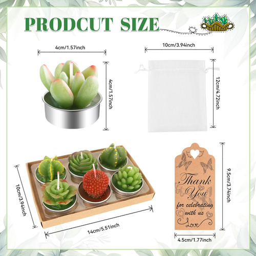 Aixiang 72 Sets Cactus Candles Suculent Talight Candles + Or
