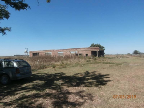 Imagen 20 de 25 de Campo Alto A 60 Km Del Ovelisco 376 Hectareas Con Mejoras