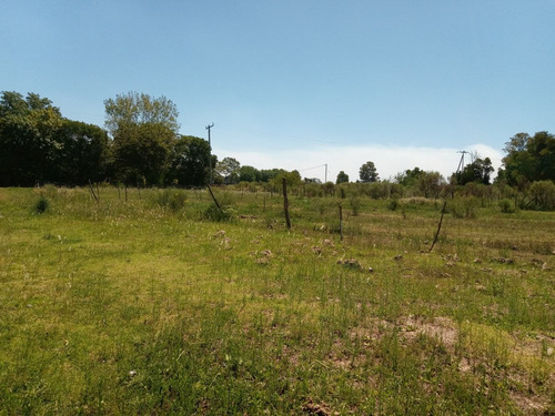 Imagen 6 de 8 de Terreno En Venta Lima Excelente Oportunidad!!