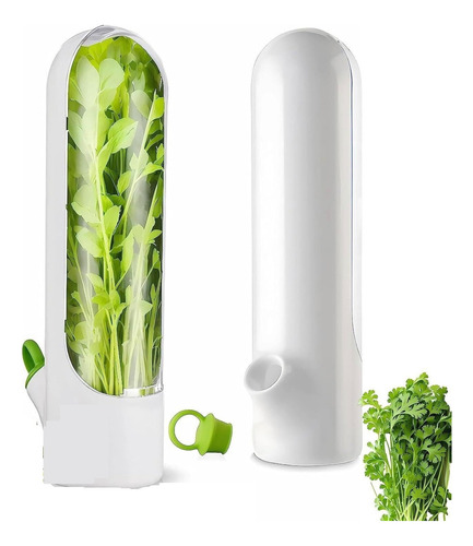, 2024 Conservador De Hierbas Frescas, Cilantro Contenedor