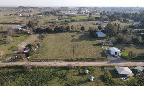 Imagen 7 de 8 de Terreno De 17.000 M2 En Zona De Quintas - Oportunidad !