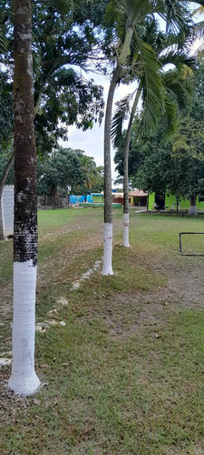 Venta De Finca En Urb El Encanto El Oasis Tocuyito 18-20