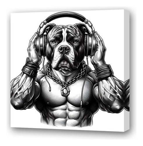 Cuadro 60x60cm Pitbull Auriculares Entrenado Musica