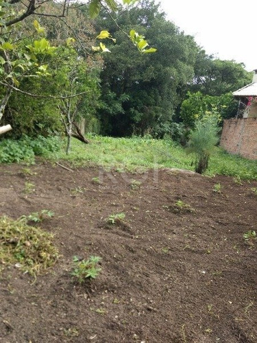 Casa Em Belém Velho Com 2 Dormitórios - Mi270704