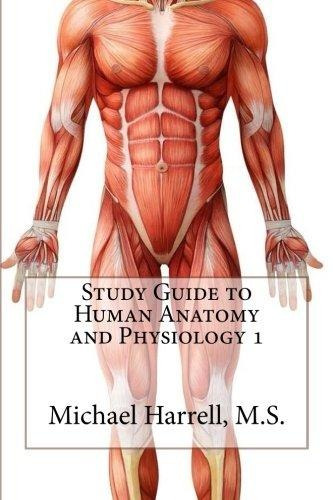 anatomy and physiology for dummies basic anatomy and physiology