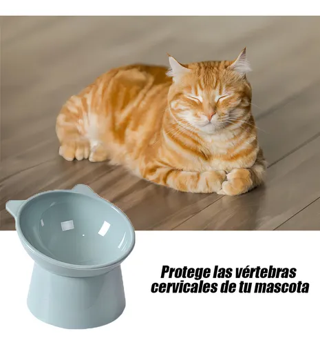 Platos Para Gatos Y Perros Comedero Kawaii Mascotas Tazon Color Gato gris