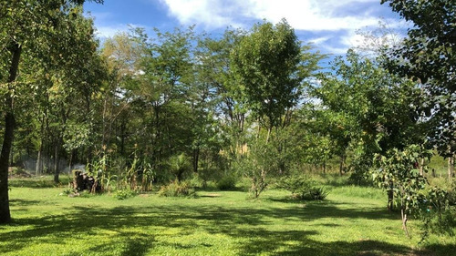 Imagen 2 de 5 de Se Vende 1 Hectarea Completa En La Entrada De San Vicente Frente A La Reserva