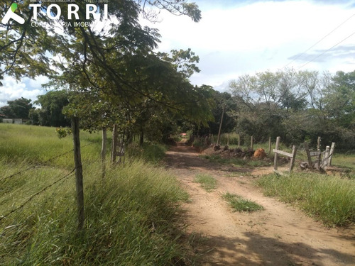 Sítio À Venda Em Porto Feliz - St00138 - 69329856