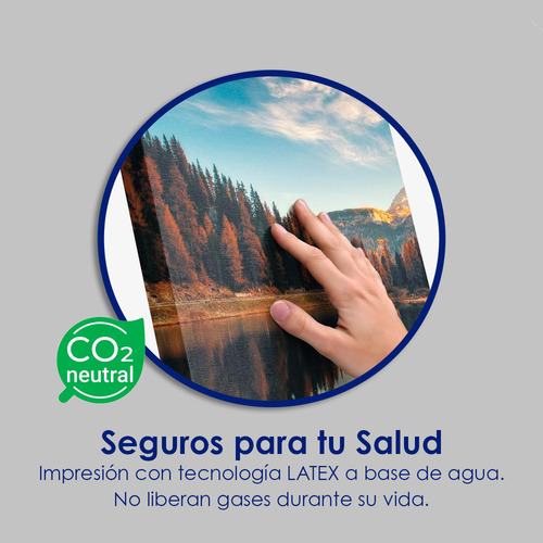Canvas Cuadro Decorativo Moderno Sala Recamara | 120x120 C31