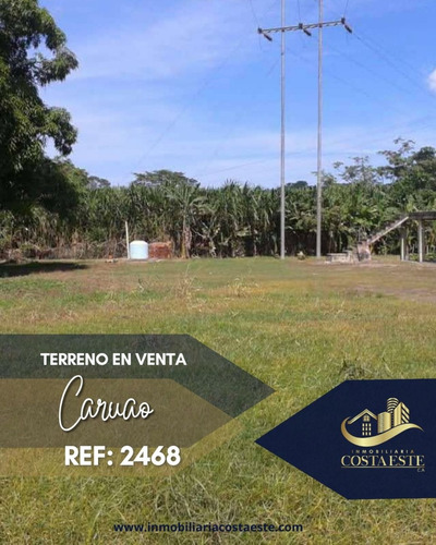 Terreno Con Bienhechuría En Venta Ubicado En Caruao Ref2468
