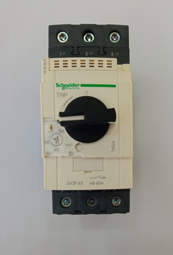 Guardamotor Magnetotermico 48-65a Schneider Gv3p65