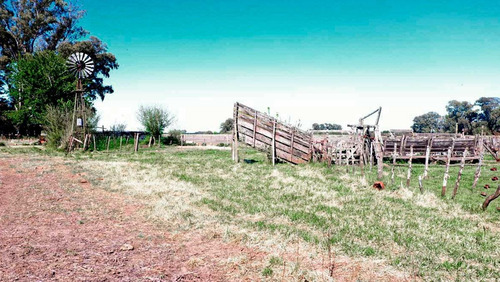 Imagen 6 de 10 de Campo Mixto De 46 Has - La Porteña, Lobos