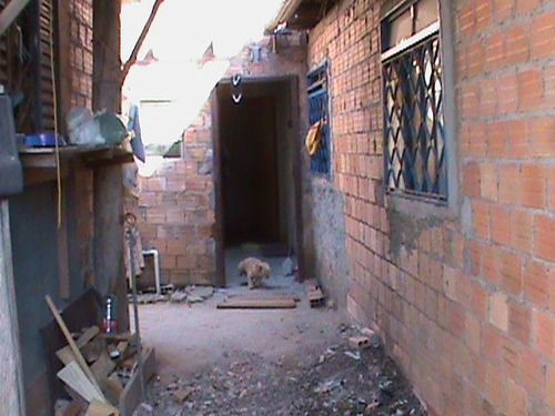 Casa À Venda Na Estrada João De Oliveira Remião, Lomba Do Pinheiro, Porto Alegre - Rs - Liv-13108