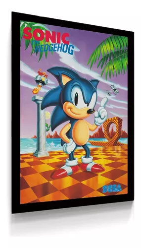 Quadro Decorativo SN118 - Sonic | Wall Street Posters