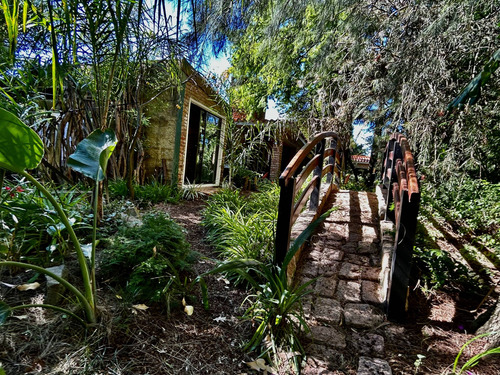 Venta De Casa Con 4 Dormitorios En Carrasco Norte