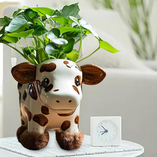 Maceta Linda Para Plantas De Vaca De Las Tierras Altas Macet