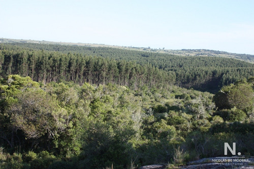 Chacra De 5 Has En Venta A Solo 23 Km De Garzon , Maldonado 