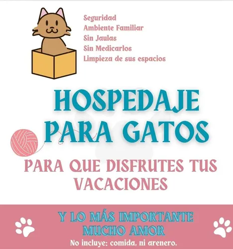 Hospedaje Para Gatos