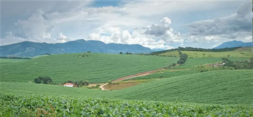Fazenda A Venda No Sul De Minas Com 470 Ha - Bcp93