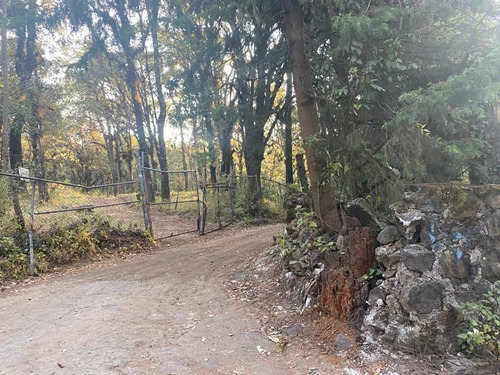 Imagen 3 de 10 de Terreno En Paraje Cuacuametla, Fracc. Real Montecasino, En H