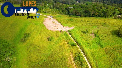 Imagem 9 de 26 de 17o Terrenos Bem Localizados