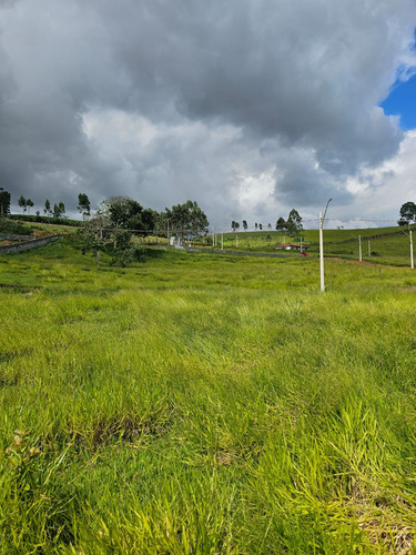 Terreno Lote 39 Em Igaratá A 450 Metros Da Represa