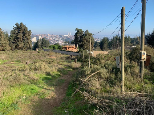 Sitio En Los Pinos Calle Calafquen