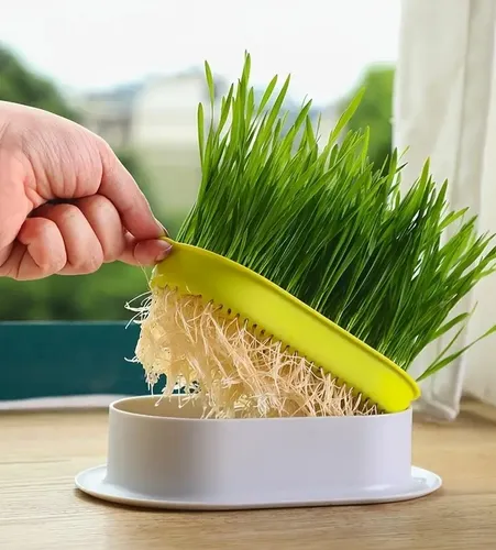 Grass kit hotsell