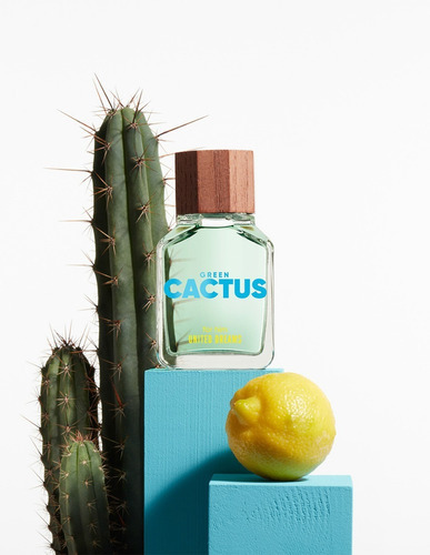 Benetton Cactus For Him Edt 100ml Perfume Para Hombre