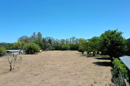 Terreno En Venta 1ha - Ideal Desarrollo Inmobiliario