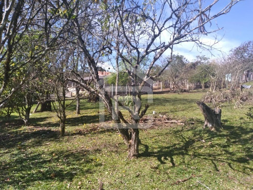 Imagem 5 de 30 de Linda Chacára Com Boa Topografia E Piscina - 27 - 70055572