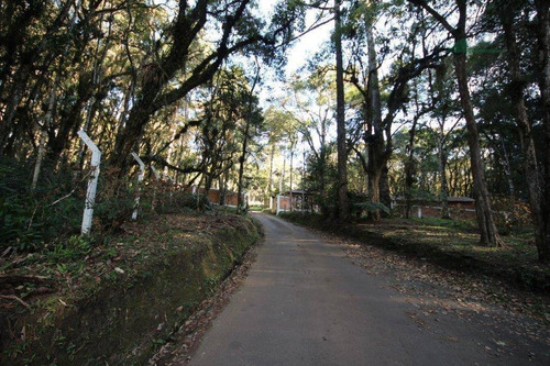 Imagem 5 de 12 de Chácara À Venda, 3300 M² Por R$ 750.000 - Campininha - Quatro Barras/pr - Ch0019