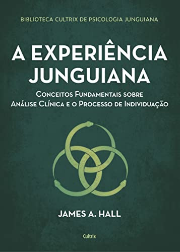 Libro Experiencia Junguiana, A - 2ª Ed