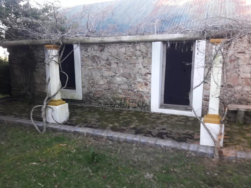 Campo 57 Has Con Casco Antiguo