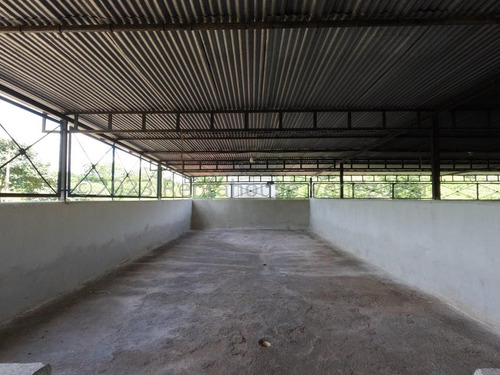 Carlos Colmenarez Vende Finca 28hec (todas Empastadas) Cercas Perimetrales 02 Cochineras; 01 Cochinera Para 150 Madres Y Capacidad De 800 Animales De Engorde 01 Cochinera Con Capacidad De 400 Animale