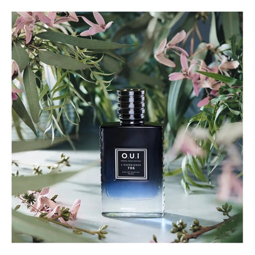 L'experience 706 O.u.i Eau De Parfum Masculino 30ml