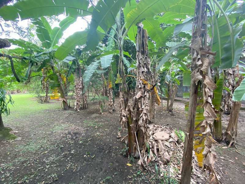 Imagem 12 de 15 de Terreno-à Venda-anil-rio De Janeiro - Pemf00031
