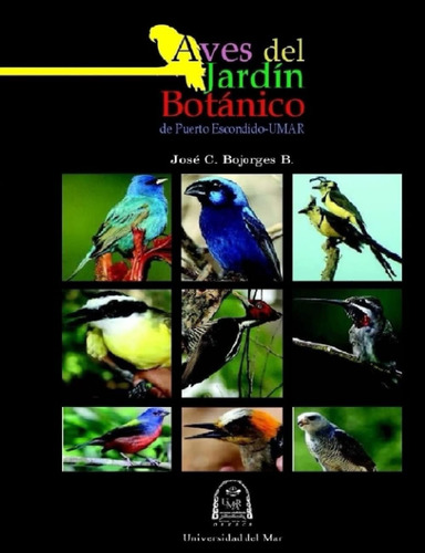 Libro: Aves Del Jardín Botánico De Puerto Escondido-umar (sp