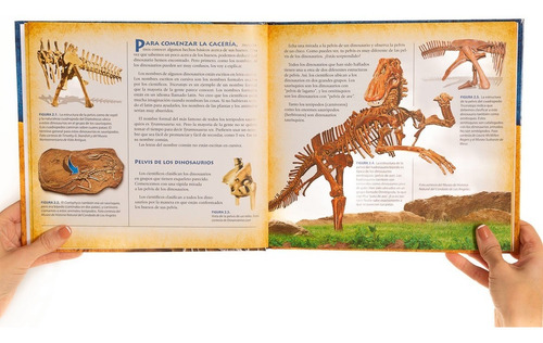Imagen 5 de 8 de De Dónde Vinieron Los Dinosaurios... Y A Dónde Se Fueron?